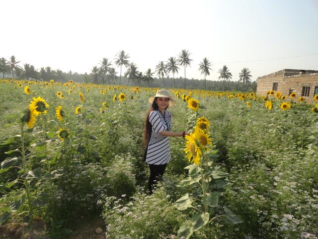 Sunflowers and me!